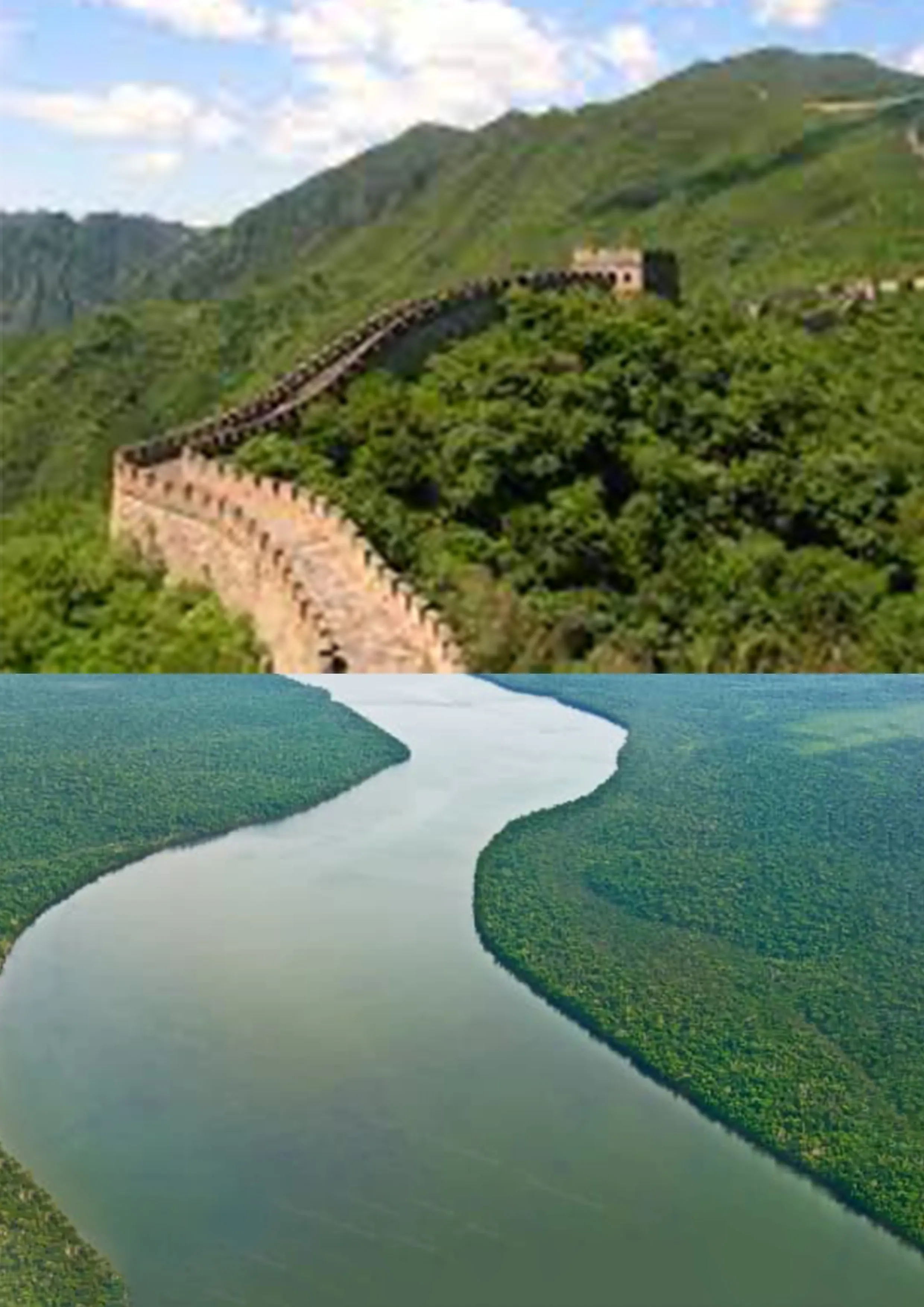 la chine avec lamazonie
