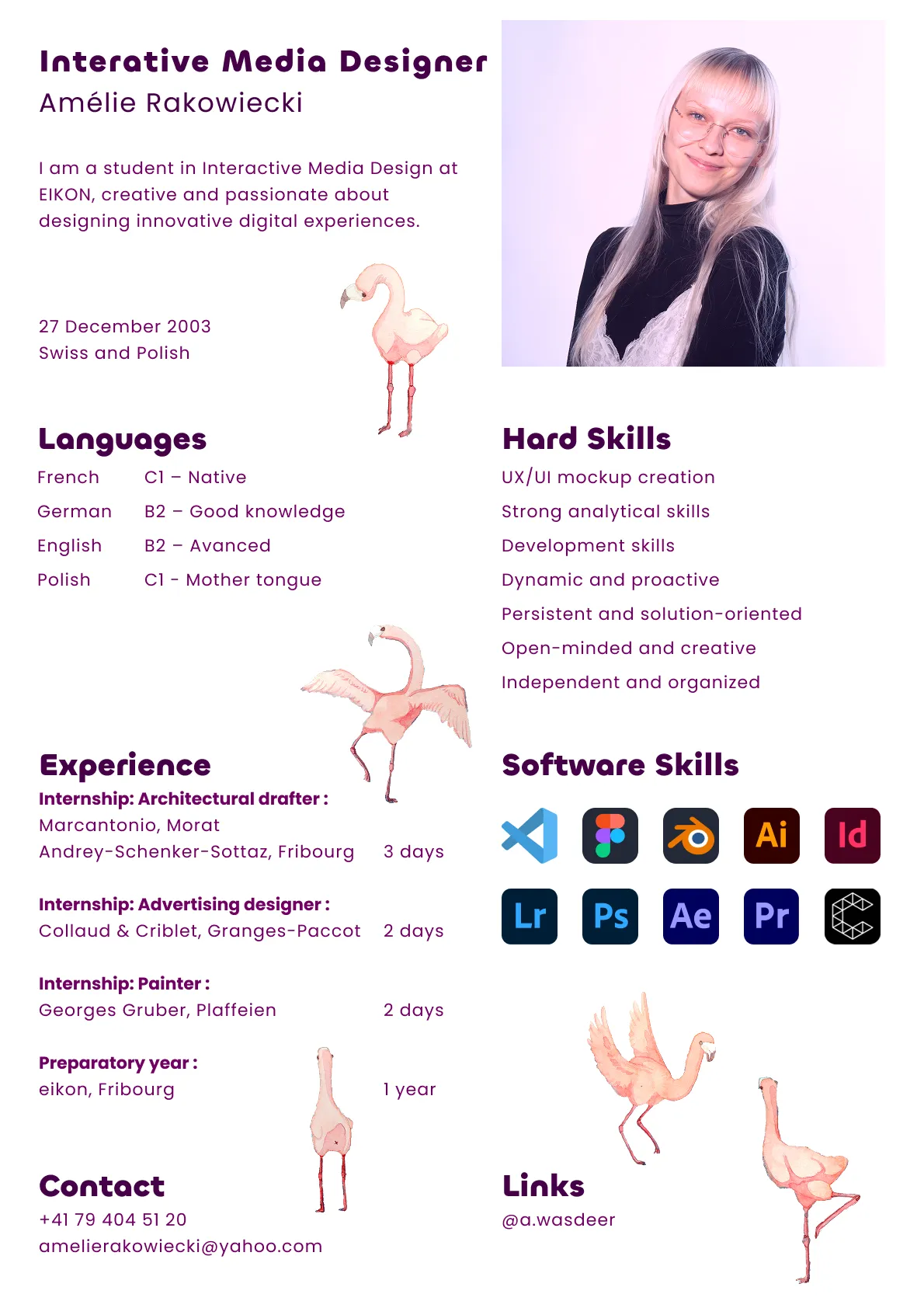 cv en
