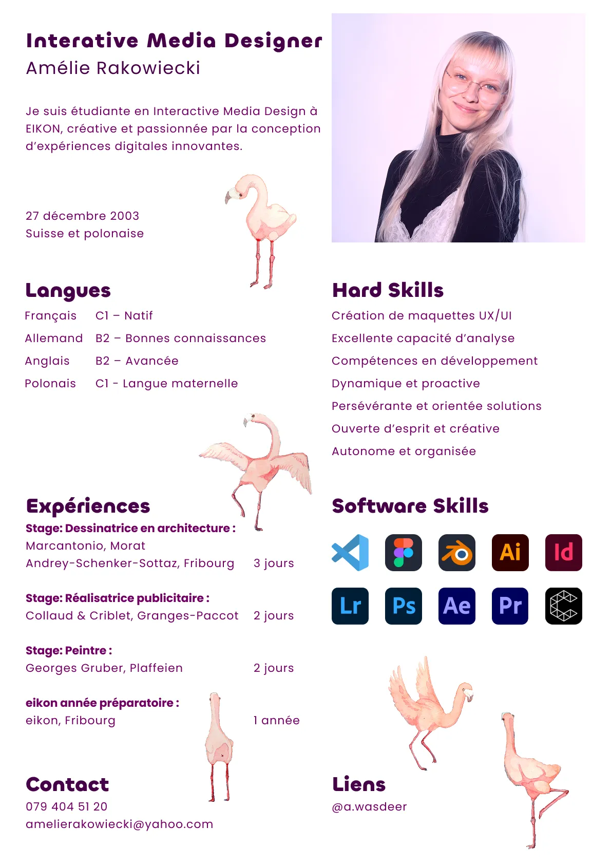 cv fr