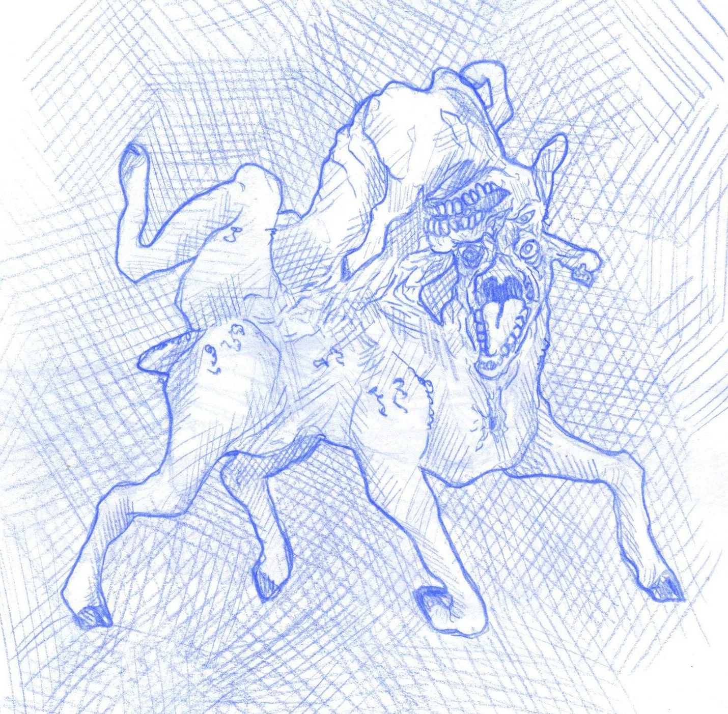 un humain avec des aigneaux